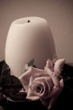 Candle and Rose 3