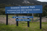 Mt Strzelecki Track