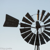 Mungo  Windmill and Friend