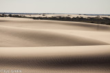 The Dunes of Mungo 
