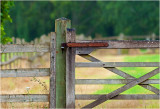 A gate in the rain