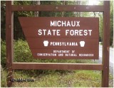 Michaux State Forest-Adams/Franklin Co, PA