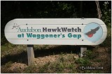 Waggoner's Gap-PA