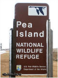 Pea Island NWR-NC