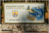 Pocosin Lakes NWR-NC