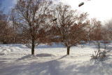 snow-jan08-02.jpg
