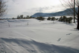 Heavy snows in Jan/Feb 2008
