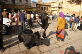 jaisalmer18
