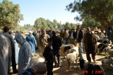 sheep market 04.JPG