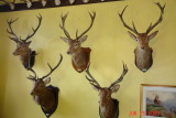 isle of mull_13.JPG