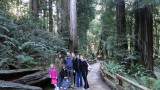 186 Muir Woods .JPG