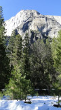 553 yosemite.JPG