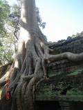 cambodia angkor temples013.JPG