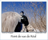 Réal's Point Of View ...