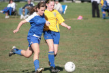 IMG_4286.jpg