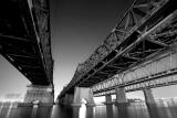 IMG_4138bw.jpg
