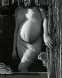 Pregnant Figure in Wood Shed Window