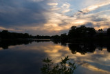 Another Late Afternoon on the Mill Pond  ~  August 10