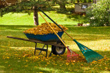 Fall Cleanup  ~  September 29