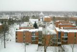 Snowy Day