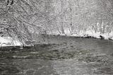 A River Runs Through It