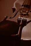 Violin  ~  May 3  [13]