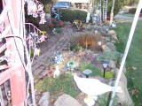100_2616.jpg