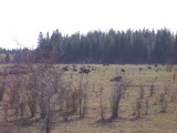 100_2642.jpg