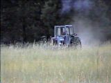 Opie mowing field.jpg