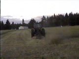 Opie mowing into the sunset.jpg