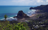 Lion Rock-  Piha