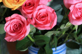 IMG_1849ah.jpg