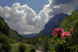 Blick vom Balkon