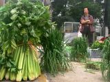Bundles in the market