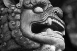 Chinese guardian lion