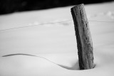 JUST BLACK AND WHITE