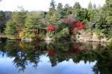 A Garden, Kyoto, Japan