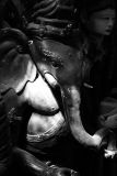 IMG_9667 bw.jpg