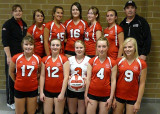 2008-2009 Durham Attack Girls 16U Red