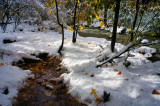 Rock Glen Snow