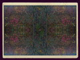Autumn Tapestry 2