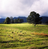 Kyogle Road