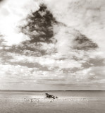 Early Morning Sepia
