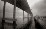 Waterfront Park 3