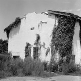 Ruin #8
