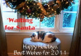 Waiting for Santa Claus