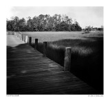 Marsh Boardwalk 8AM