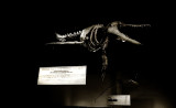 Museum 3<br><font size=2>Leica M3