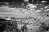 Grand Teton NP 09-27-08 1202 B&W