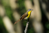 South Llano River SP 5-29-10 0216.JPG